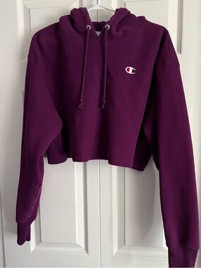 Champion Hooded Pullover - Plum